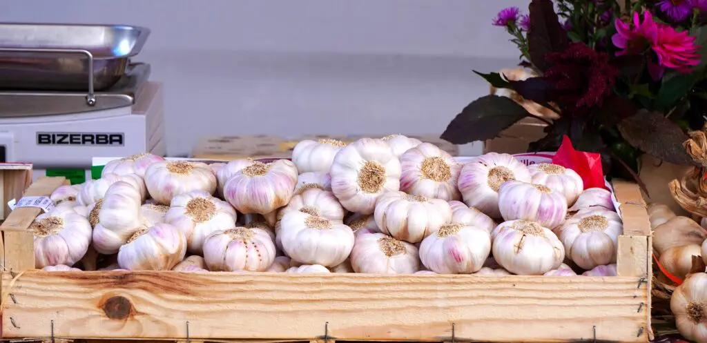 garlic g48872ca77 1920