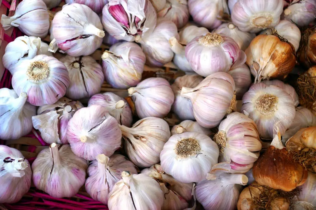 garlics g466bededd 1920